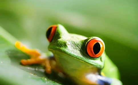 ���������Ӹ����L���x�������700��