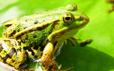 ���ܵ���ӛ800��