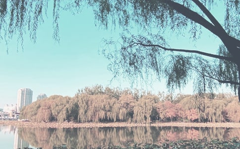 �＾늚ⰲȫ�z�鿂�Y����