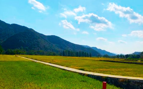 ���յ�ϲ��Ԋ��