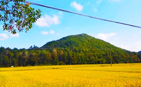 ���յ��H��ɢ��