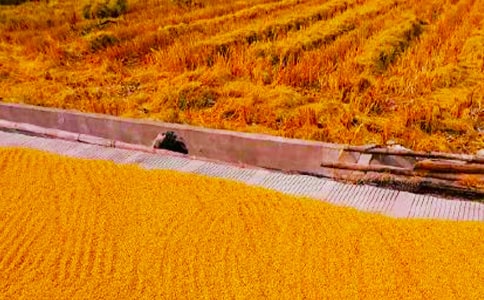 �����յľ���