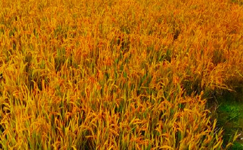 ���յ���Ϣ����(b��o)���x(15ƪ)