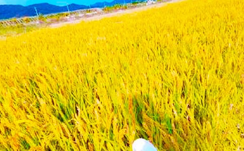 �����ĵø���900��