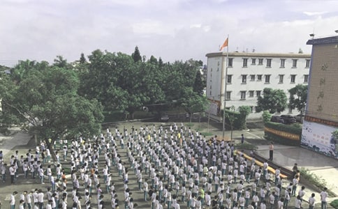 2024�꺮��ɢ�W��YУ�L��(y��u)���vԒ�壨���x17ƪ��