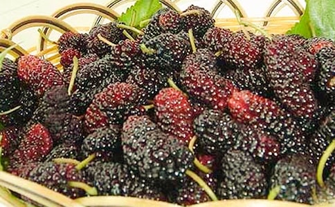 ����ɣ�ء��n�����}