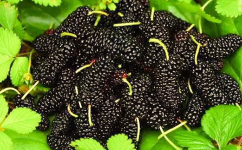 ɣ�ص����ú͹�Ч�÷�