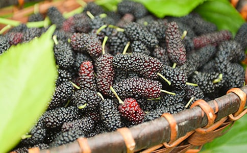 ��ɣ�����ˡ���x�𰸡���(y��u)�x��