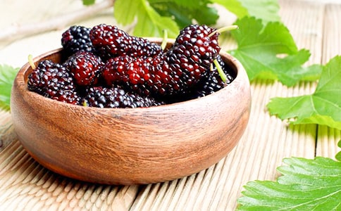 ɣ�ؼt�˵�����ɢ��