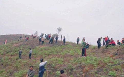 ���P�ڌ���Ĺ�Č��}��ӛ