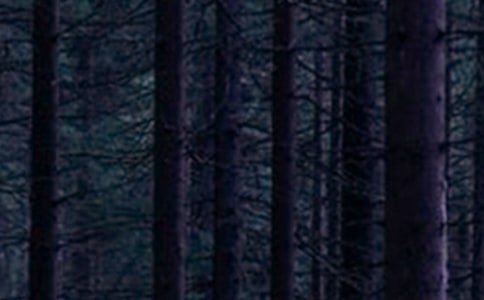 ɭ�ֲ�ԭ��������(xi��ng)���η������ģ����x5ƪ��