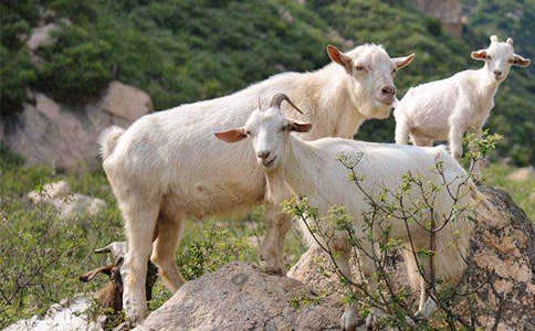 �а��Z�ԃ��|�n��ɽ��N�ˡ�