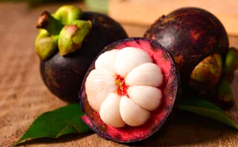 ��ɽ�񺣌����~(15ƪ)