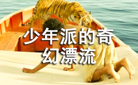 少年派的奇幻漂流讀后感10篇