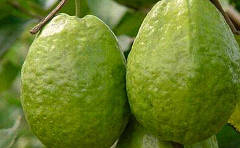 �i����ʯ����i�Z���\