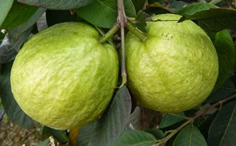 ��ʯ����x��_ӛ������x