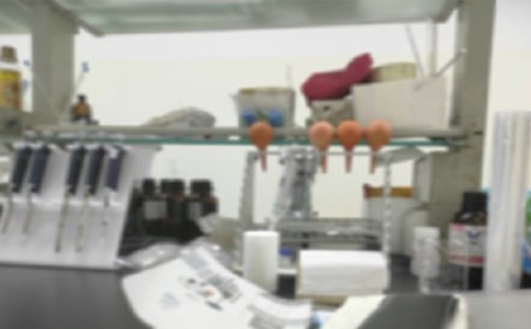 ����҃x�������ƶ�(����13ƪ)