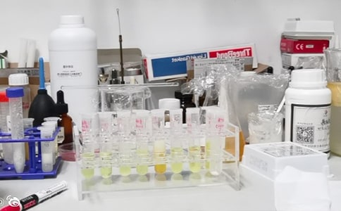 ���ЌWУ����ҌW�ڹ������Y����