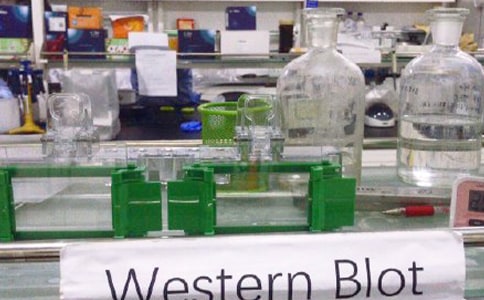 2019�껯�W����Ҍ��T����Ӌ��ģ��