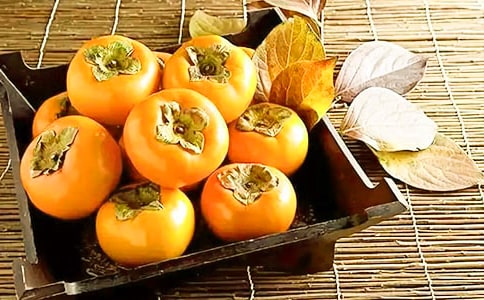 ٝ���������Ŀ�����f�f