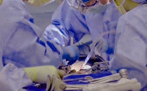 ��ο�����g�ļҌٵ�Ԓ