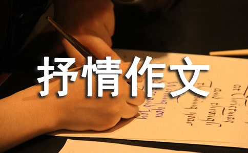 ���]���辰��������