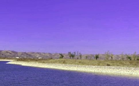 ˮ�쿹���������ģ�ͨ��5ƪ��