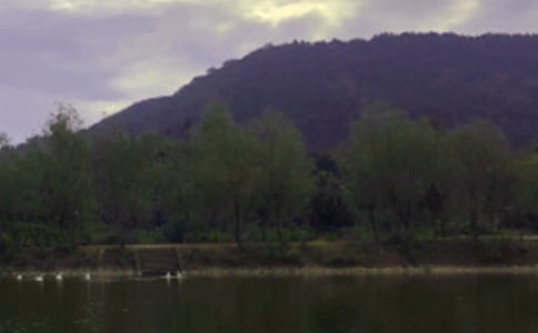 ���շ��ӎXˮ��Č�(d��o)���~