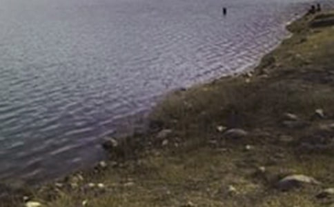 ˮ�쿹��������ˮ�������ģ�ͨ��6ƪ��