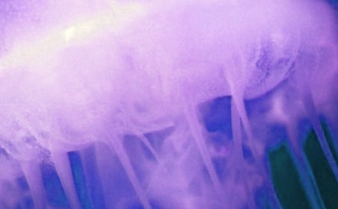 ��ˮĸ�۰��ҿ옷���LС�W(xu��)����