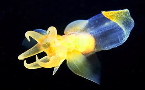 ���ҿ�ˮĸ�m�����~