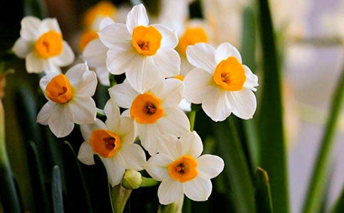 ˮ�ɻ� - ��ӛ500��