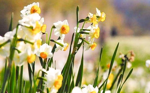 �P�ڌ�ˮ�ɻ��^����ӛ