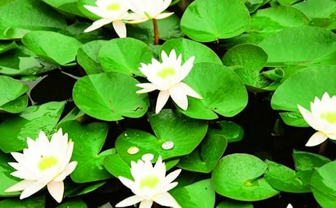 �^����ӛ��˯ɏ��ͨ��58ƪ��