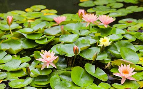 ��x�n��˯ɏ��Ҫ����