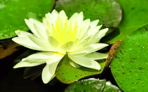 ˯ɏ���_������x����