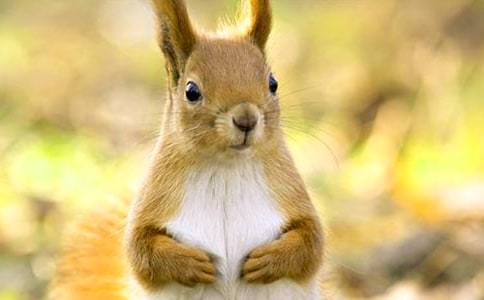 С�����һ����̌W�OӋ���㷶��