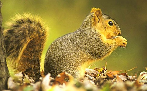 С�����һ����̌W�OӋ�c��˼����