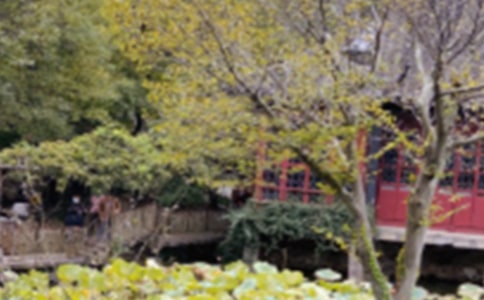 �K�݈@���x����x�𰸷���