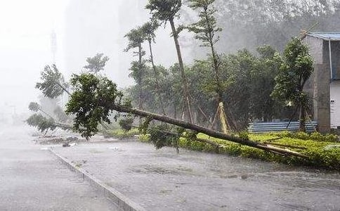 物業(yè)臺風(fēng)暴雨應(yīng)急處理方案(通用7篇)