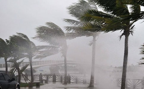 ���_�L�����ݾ�������ͨ��16ƪ��