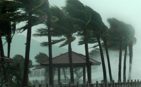 �_�L��ӛ����500�֣�ͨ��31ƪ��