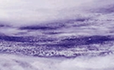 ������]���_�L����x��