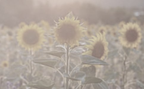 ���NһƬ̫ꖻ����̌W�OӋ�����x8ƪ��