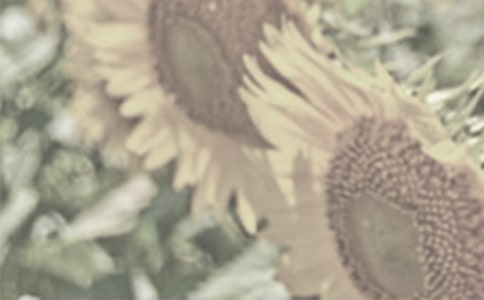 ���C������̫ꖻ���x�Լ���