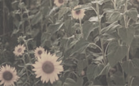 �NһƬ̫ꖻ��̌W�OӋ