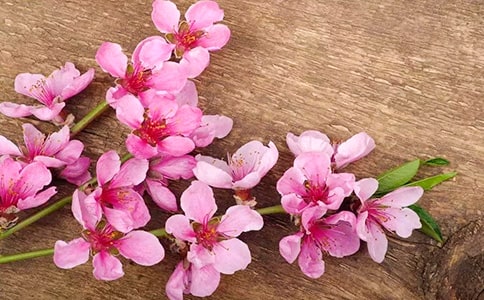 �һ���ľ�̌W��䛃���