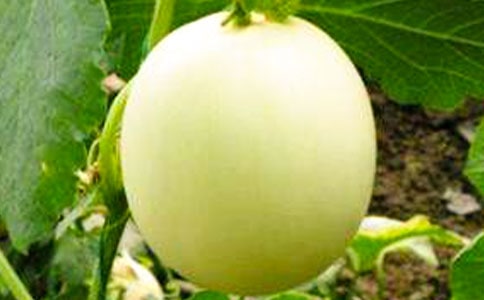 ��������S�P