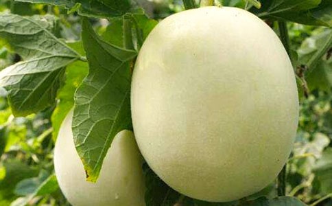 �y������Ͼ��꼉����