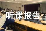 美術(shù)聽課報(bào)告